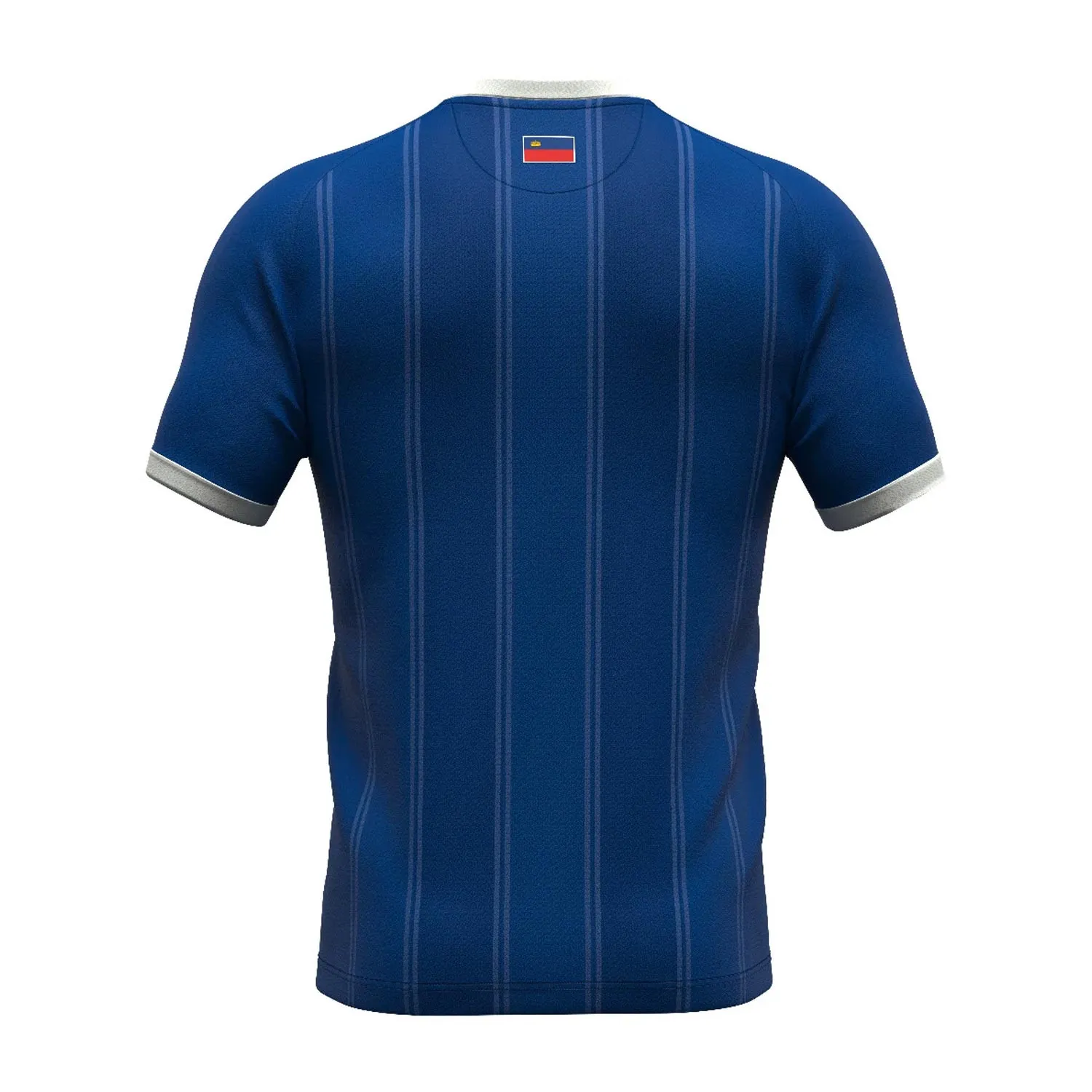 Camiseta Errea Liechtenstein 2024 2025