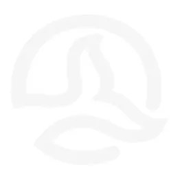 CAMISETA LEZAT 1/2 ZIP W