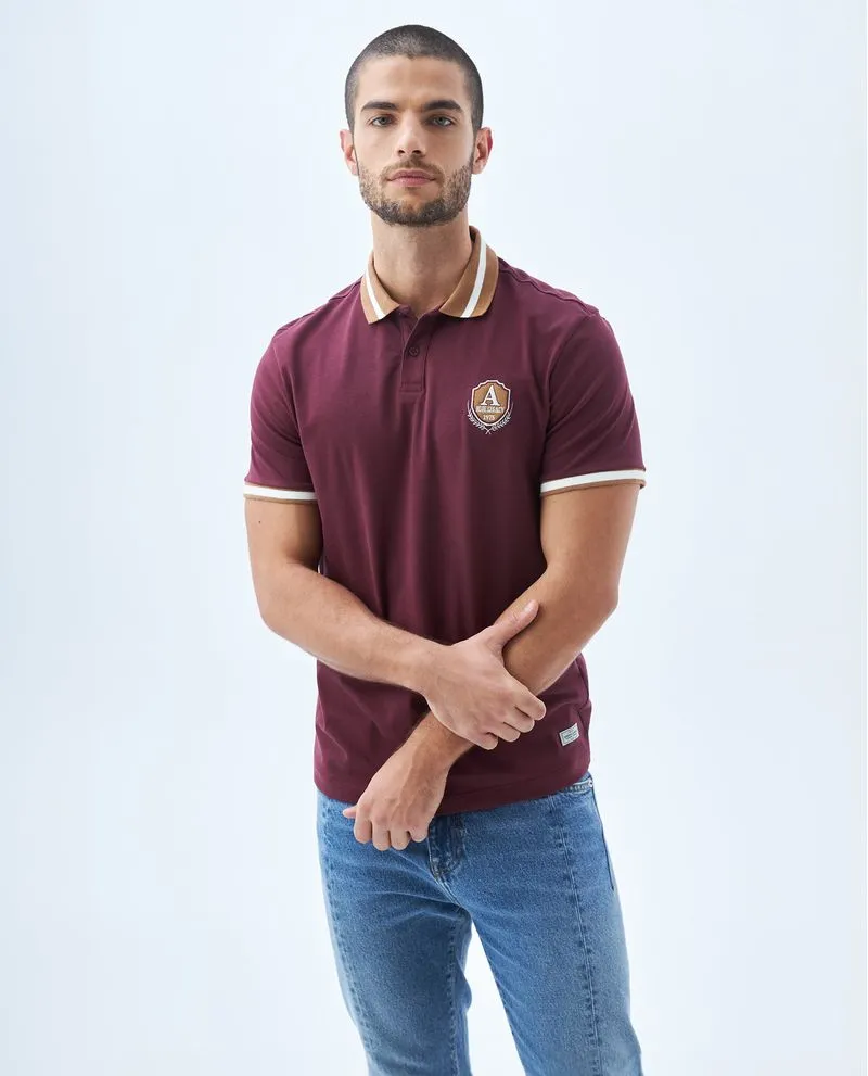 Polo con mini bordado decorativo para hombre